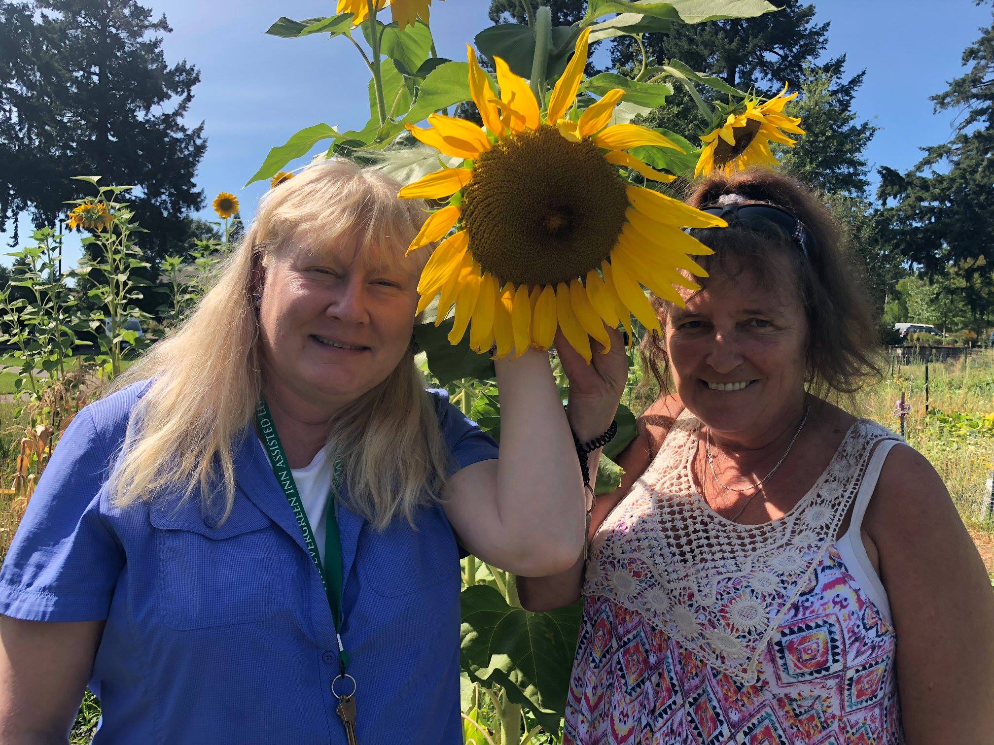 The Evergreen Inn Vancouver